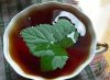 Чай из листьев смородины